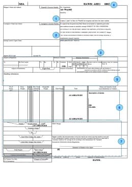 img20038-724x1024 image of house hair wabill (HAWB)